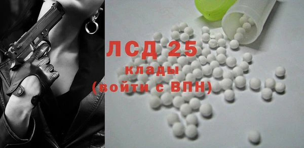 хмурый Арсеньев