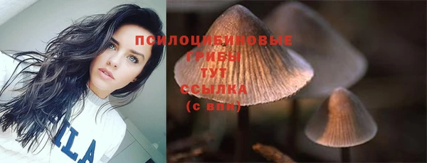 хмурый Арсеньев