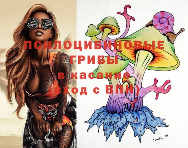 дживик Аркадак