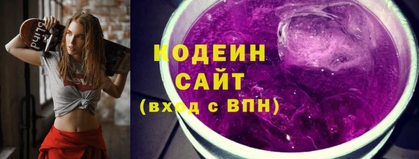 хмурый Арсеньев