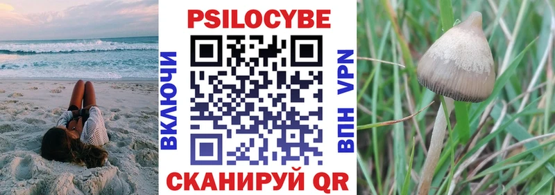 Псилоцибиновые грибы Psilocybine cubensis  цена   Тарко-Сале 